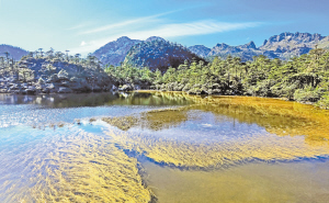 　螺髻山仙草湖。 涼山在線.jpg